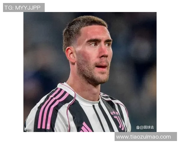 弗拉霍维奇:从天才前锋到意甲新星的成长之路与未来展望 弗拉霍维奇:从天才前锋到意甲新星的成长之路与未来展望