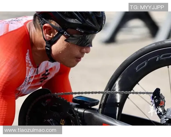 特奥精神闪耀全球展现无畏勇气与团结力量的美好时刻